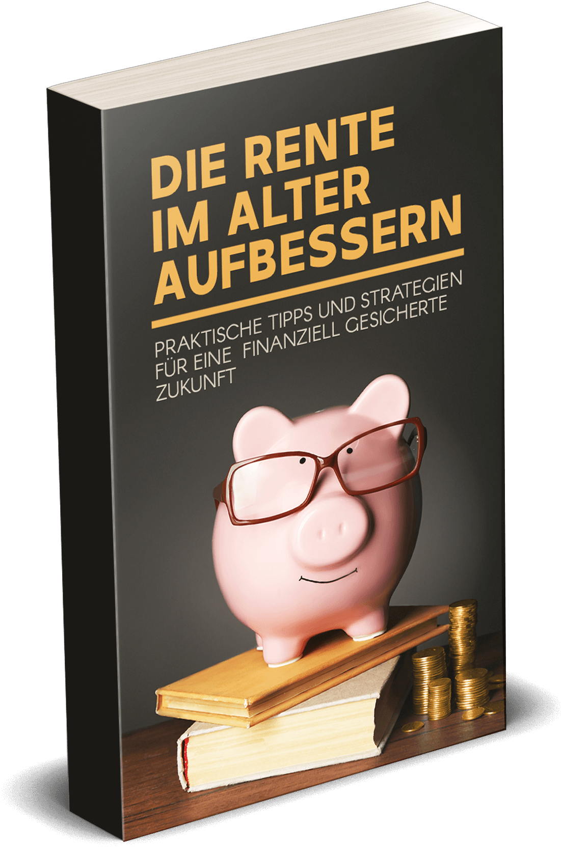 Buchcover-Die-Rente-im-Alter-aufbessern-3D-Original