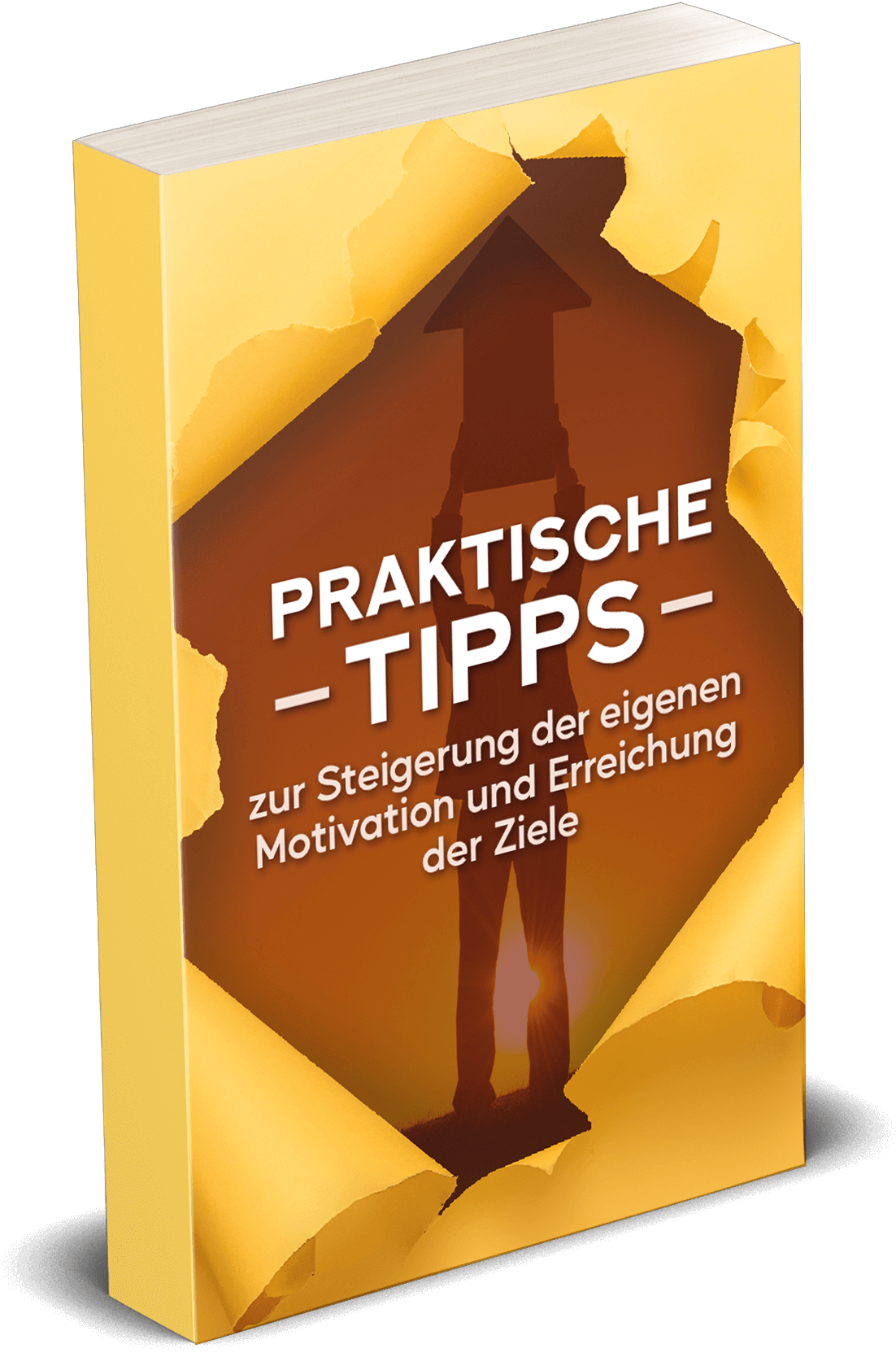Buchcover-Motivation-steigern-3D