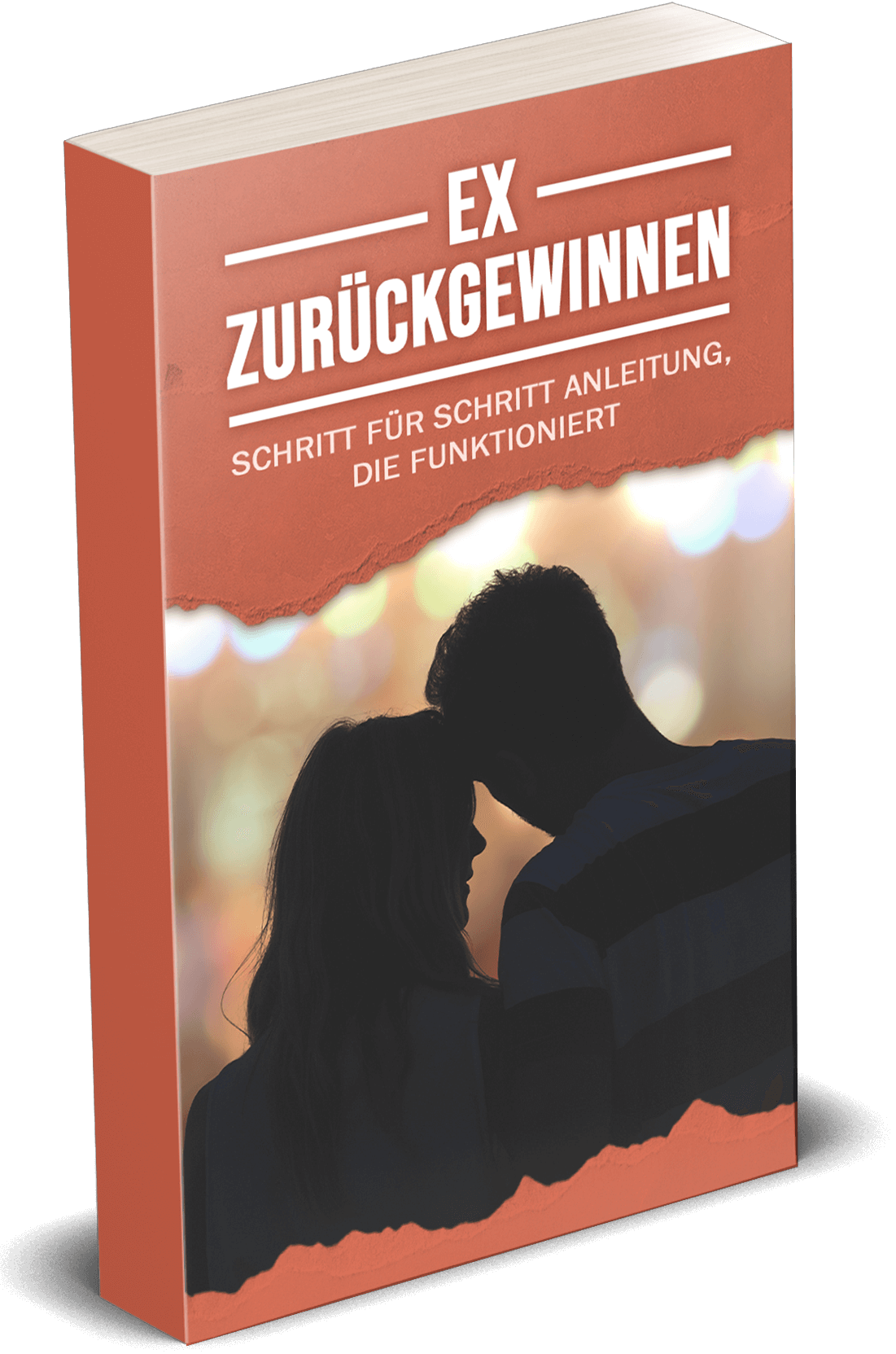 Buchvoer-Ex-zurueckgewinnen-3D