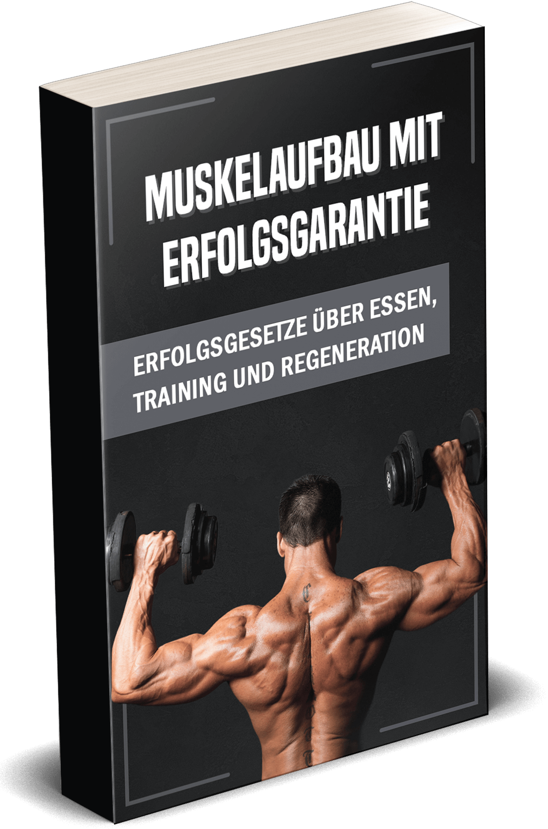 Buchcover Muskelaufbau (3D)