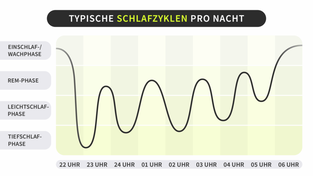 Infografik: Übersicht der einzelnen Schlafphasen samt Uhrzeiten